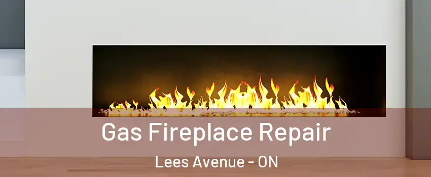  Gas Fireplace Repair Lees Avenue - ON