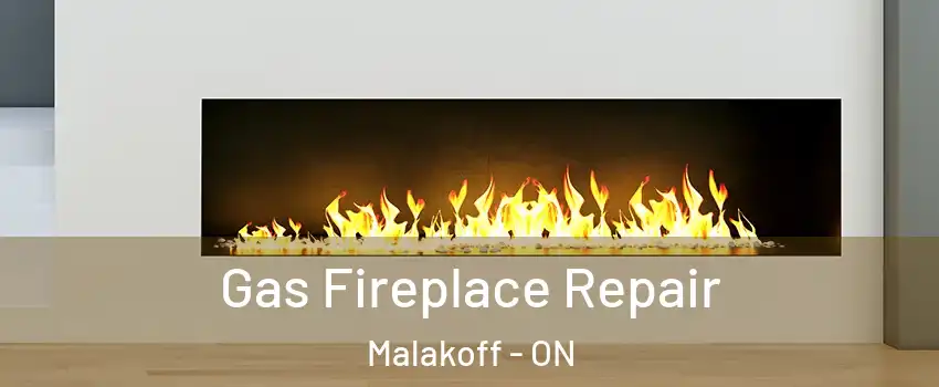  Gas Fireplace Repair Malakoff - ON