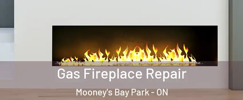  Gas Fireplace Repair Mooney's Bay Park - ON