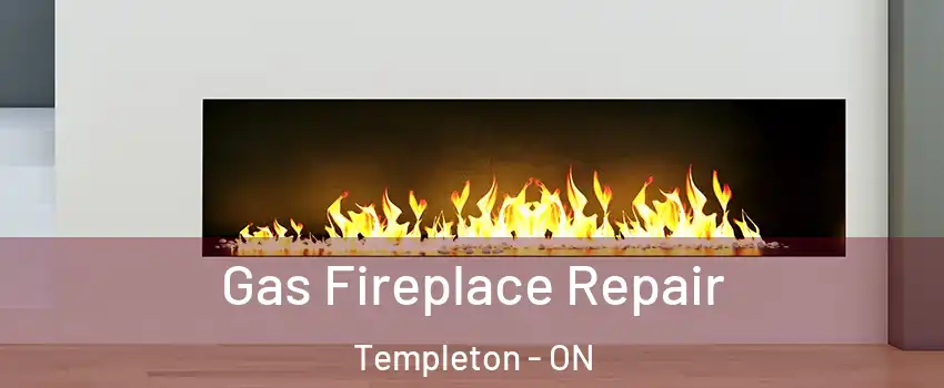  Gas Fireplace Repair Templeton - ON