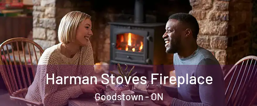  Harman Stoves Fireplace Goodstown - ON