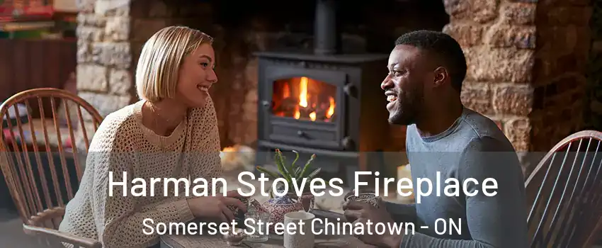  Harman Stoves Fireplace Somerset Street Chinatown - ON