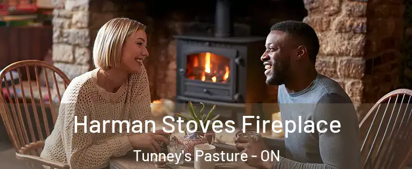  Harman Stoves Fireplace Tunney's Pasture - ON