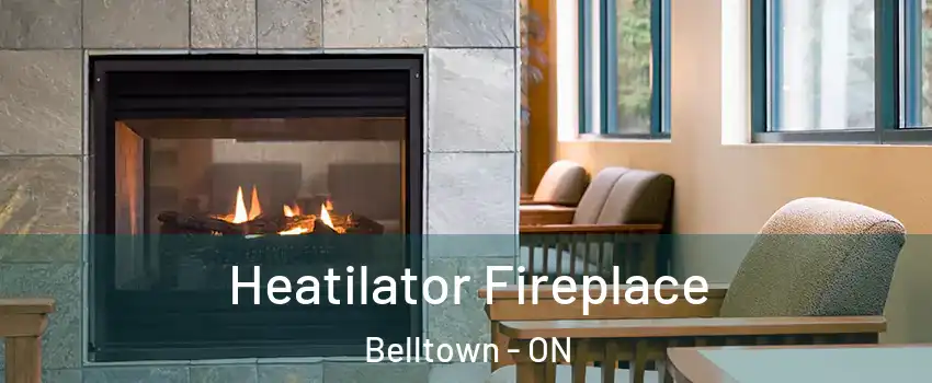  Heatilator Fireplace Belltown - ON