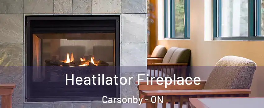  Heatilator Fireplace Carsonby - ON