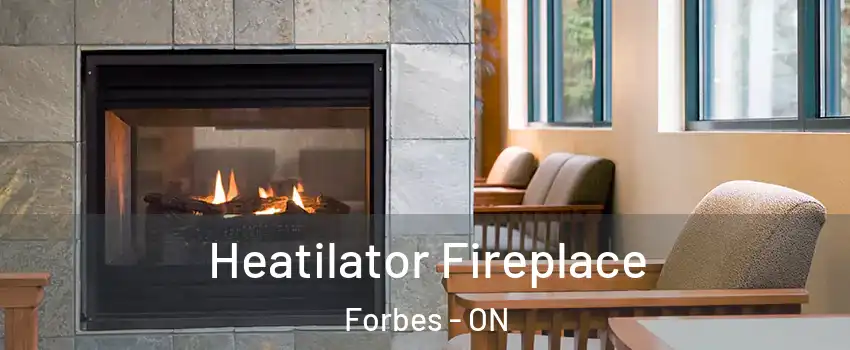  Heatilator Fireplace Forbes - ON