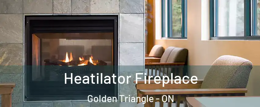  Heatilator Fireplace Golden Triangle - ON