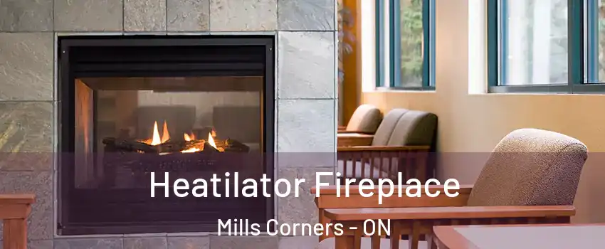  Heatilator Fireplace Mills Corners - ON