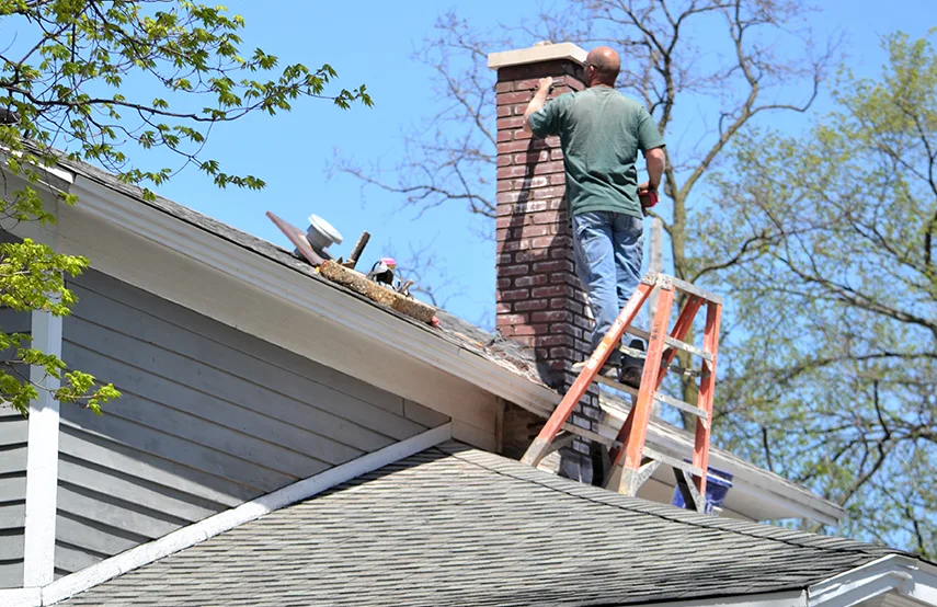 Chimney & Fireplace Inspections Services in Ottawa, ON