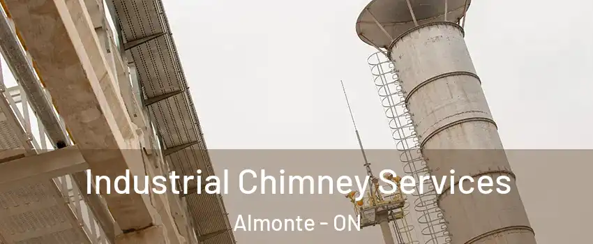  Industrial Chimney Services Almonte - ON