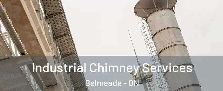  Industrial Chimney Services Belmeade - ON