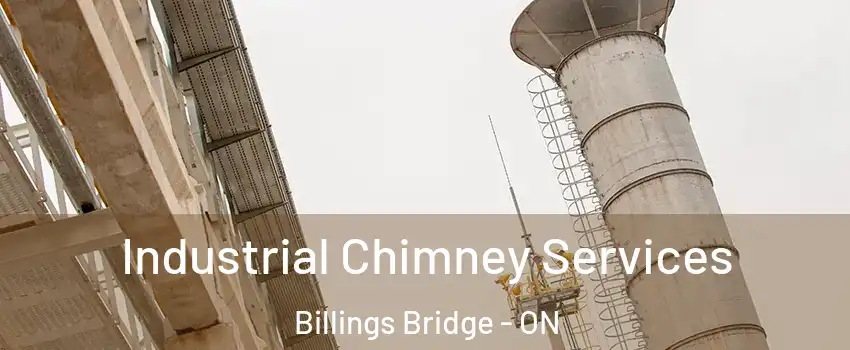  Industrial Chimney Services Billings Bridge - ON