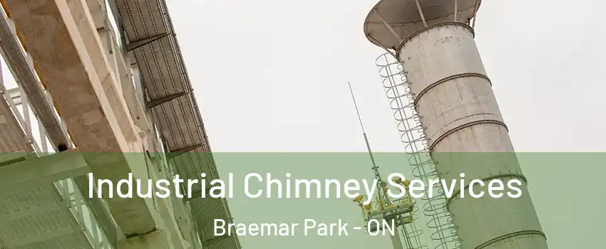  Industrial Chimney Services Braemar Park - ON