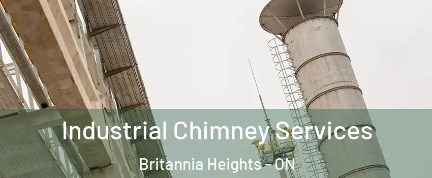  Industrial Chimney Services Britannia Heights - ON