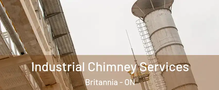  Industrial Chimney Services Britannia - ON