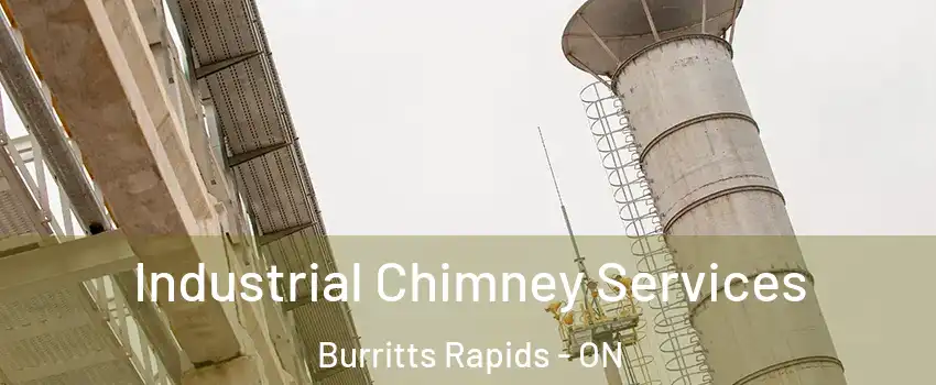  Industrial Chimney Services Burritts Rapids - ON