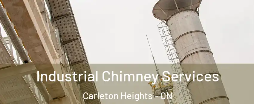  Industrial Chimney Services Carleton Heights - ON