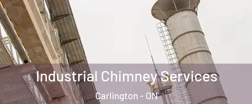  Industrial Chimney Services Carlington - ON