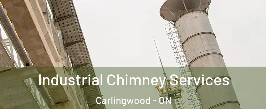  Industrial Chimney Services Carlingwood - ON