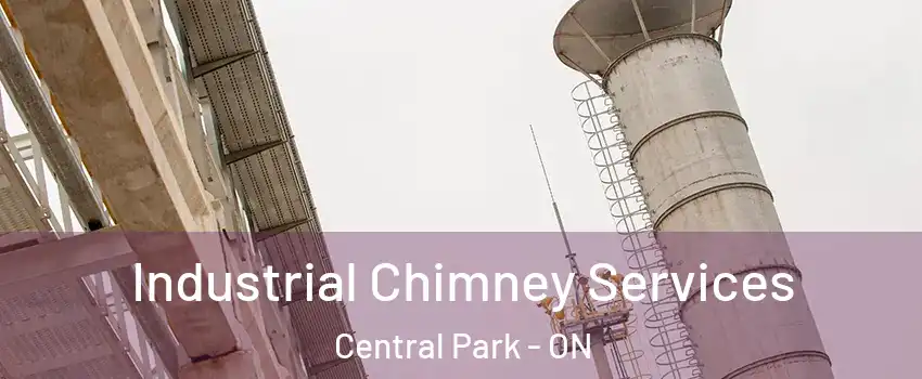  Industrial Chimney Services Central Park - ON