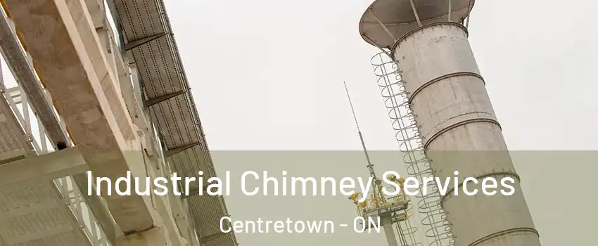  Industrial Chimney Services Centretown - ON