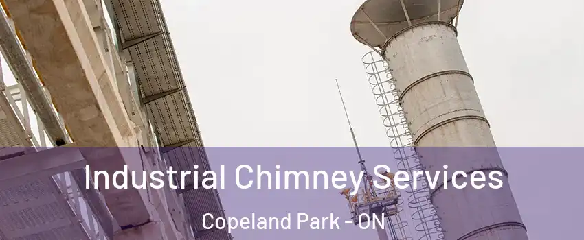  Industrial Chimney Services Copeland Park - ON