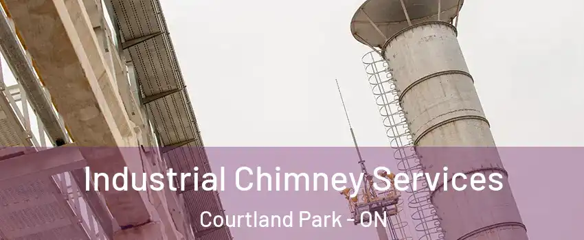  Industrial Chimney Services Courtland Park - ON