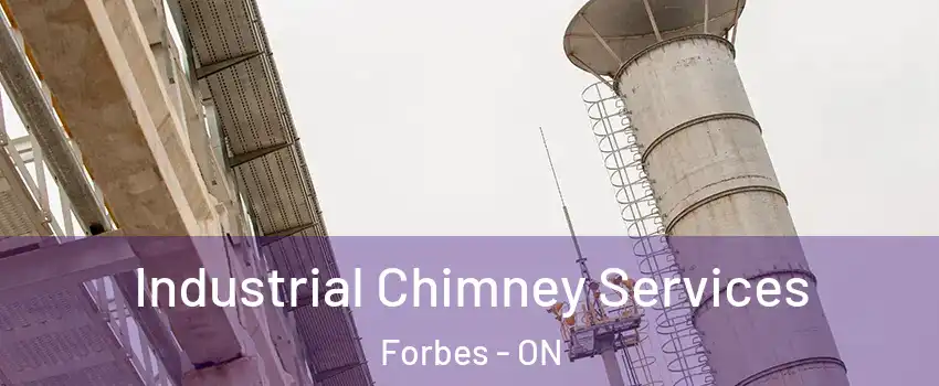  Industrial Chimney Services Forbes - ON