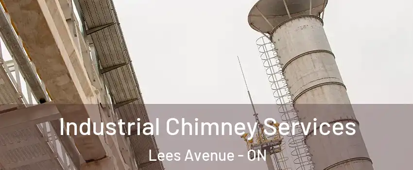  Industrial Chimney Services Lees Avenue - ON