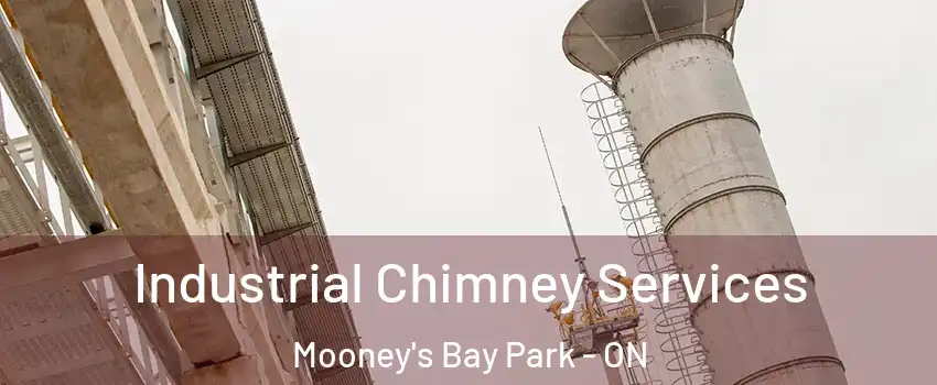  Industrial Chimney Services Mooney's Bay Park - ON