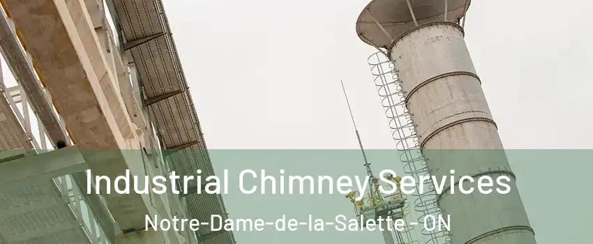  Industrial Chimney Services Notre-Dame-de-la-Salette - ON