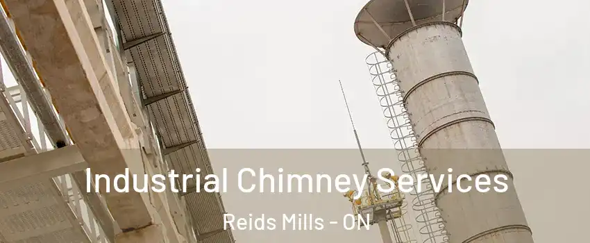  Industrial Chimney Services Reids Mills - ON