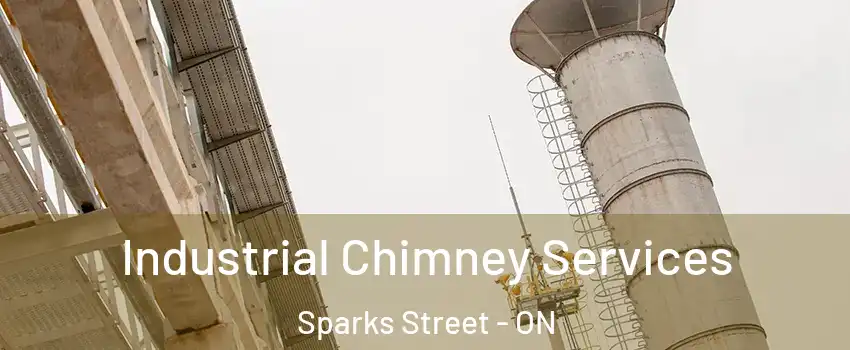  Industrial Chimney Services Sparks Street - ON