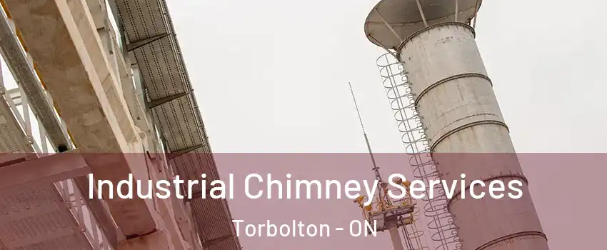  Industrial Chimney Services Torbolton - ON