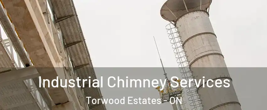  Industrial Chimney Services Torwood Estates - ON