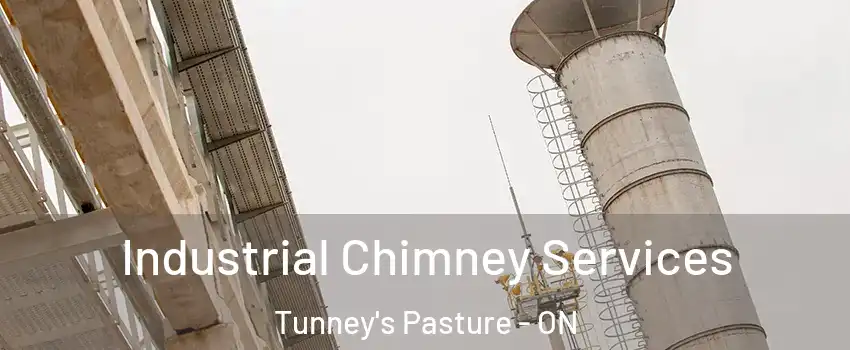  Industrial Chimney Services Tunney's Pasture - ON