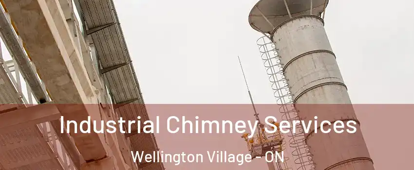  Industrial Chimney Services Wellington Village - ON