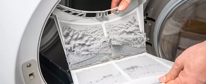 Best Dryer Lint Removal Company in Ottawa, Ontario