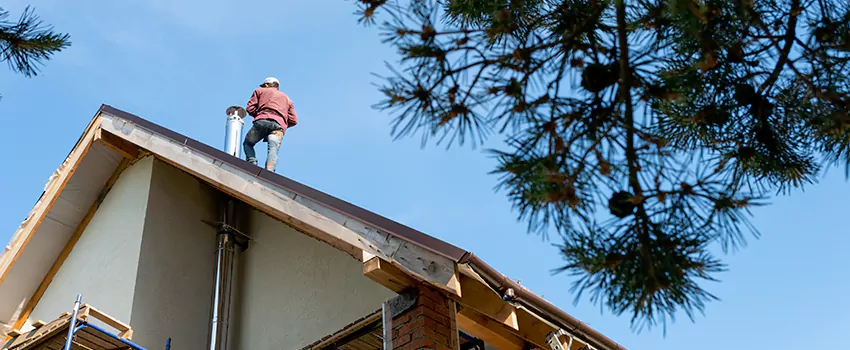 Birds Removal Contractors from Chimney in Ottawa, ON