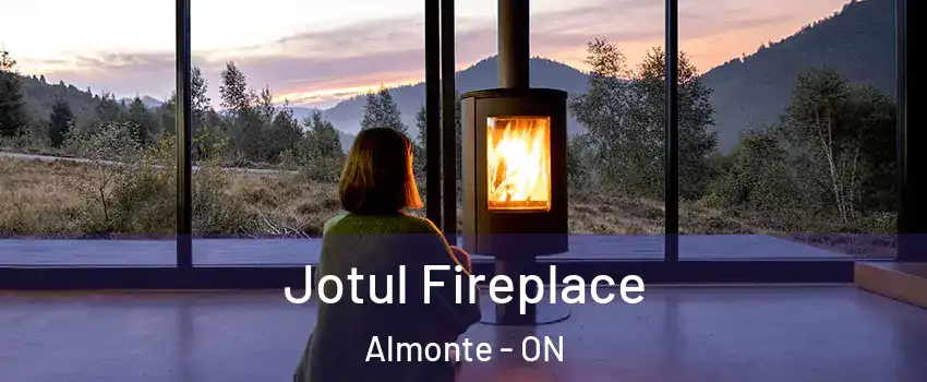  Jotul Fireplace Almonte - ON