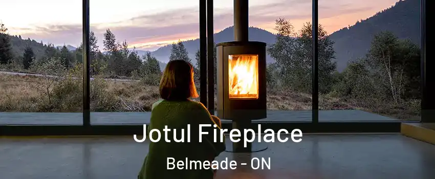  Jotul Fireplace Belmeade - ON