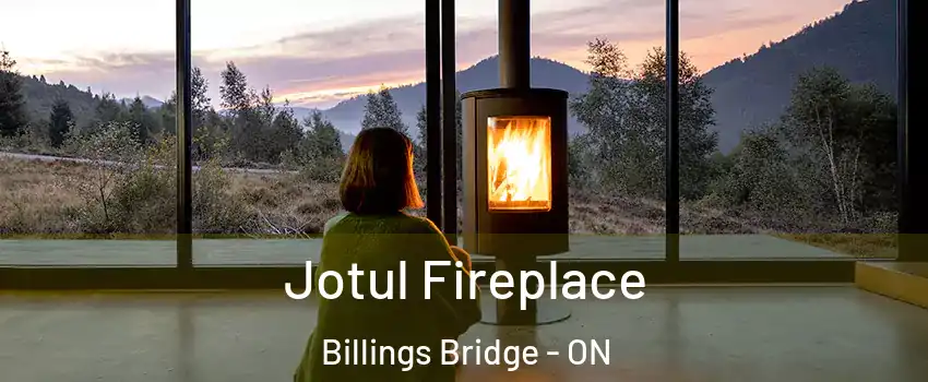  Jotul Fireplace Billings Bridge - ON