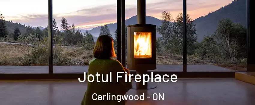  Jotul Fireplace Carlingwood - ON