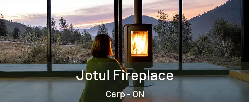  Jotul Fireplace Carp - ON