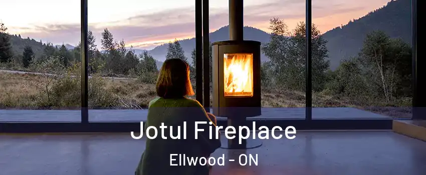  Jotul Fireplace Ellwood - ON