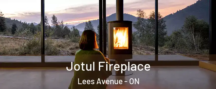  Jotul Fireplace Lees Avenue - ON