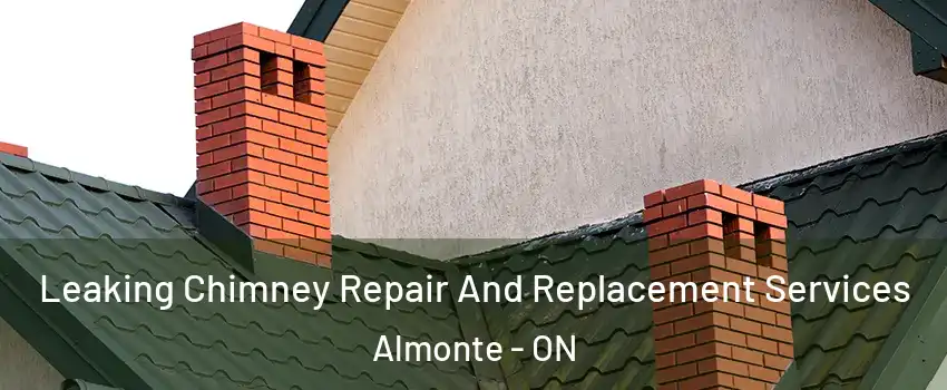  Leaking Chimney Repair And Replacement Services Almonte - ON