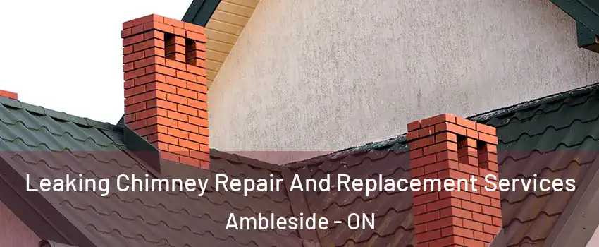  Leaking Chimney Repair And Replacement Services Ambleside - ON