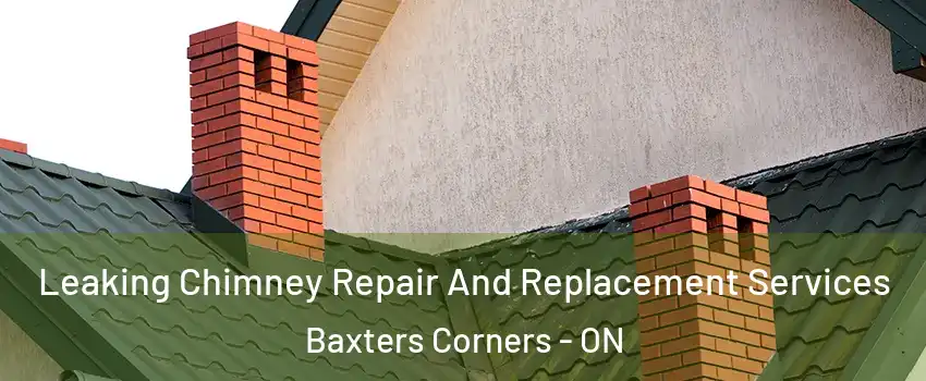  Leaking Chimney Repair And Replacement Services Baxters Corners - ON