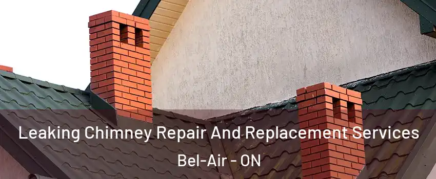  Leaking Chimney Repair And Replacement Services Bel-Air - ON